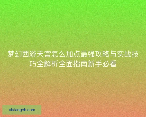 梦幻西游天宫怎么加点最强攻略与实战技巧全解析全面指南新手必看