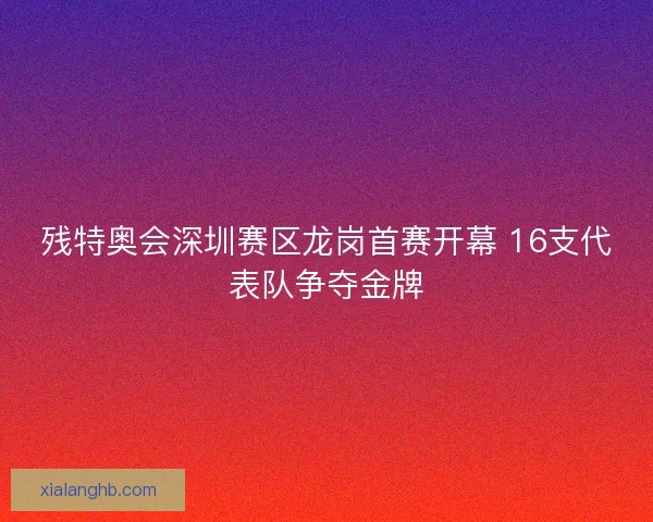 残特奥会深圳赛区龙岗首赛开幕 16支代表队争夺金牌