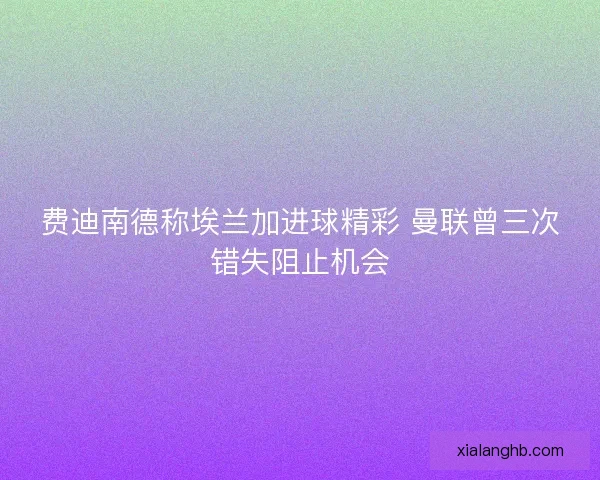 费迪南德称埃兰加进球精彩 曼联曾三次错失阻止机会